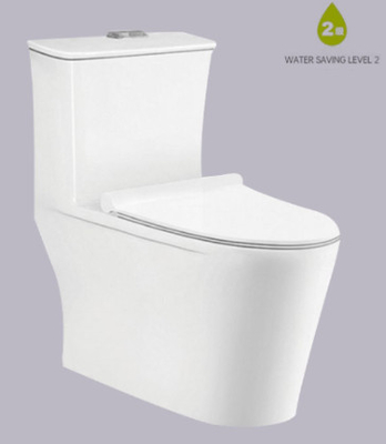 फिलीपीन 700x415x720mm आकार एस ट्रैप सिफ़ोनिक डब्ल्यूसी सिस्टम जीवाणुरोधी